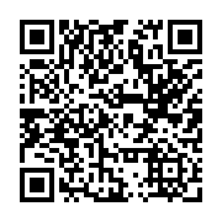 QR code for plate 17T 919