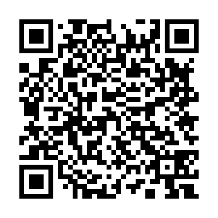 QR code for plate 17U 838
