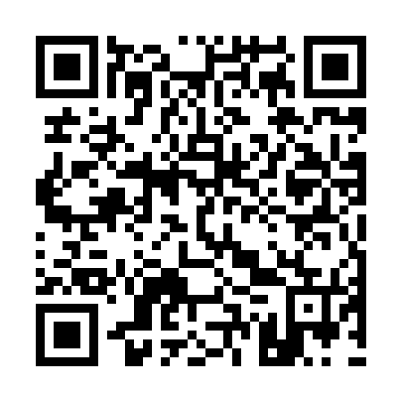 QR code for plate 17U 875