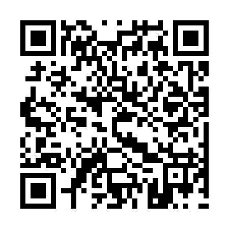 QR code for 17V 397