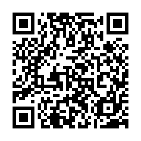 QR code for plate 17V 817