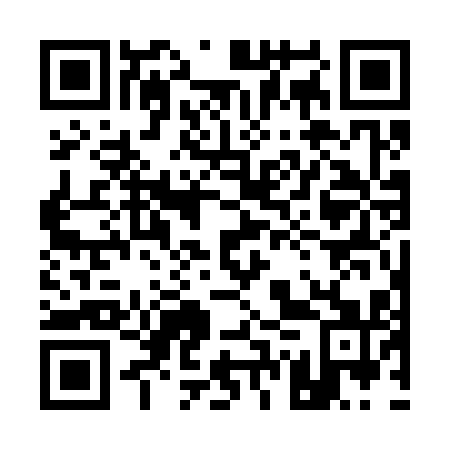 QR code for plate 17W 311