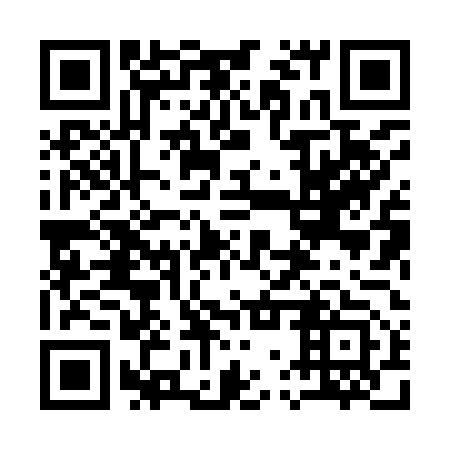 QR code for 17X 953