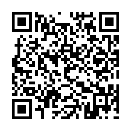 QR code for plate 17X 311