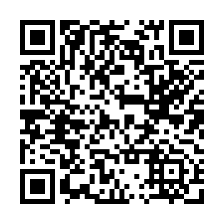 QR code for plate 17X 353