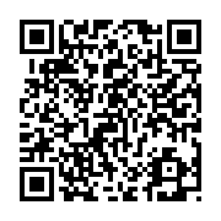 QR code for plate 17X 432