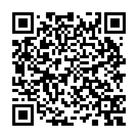 QR code for 17Y 234