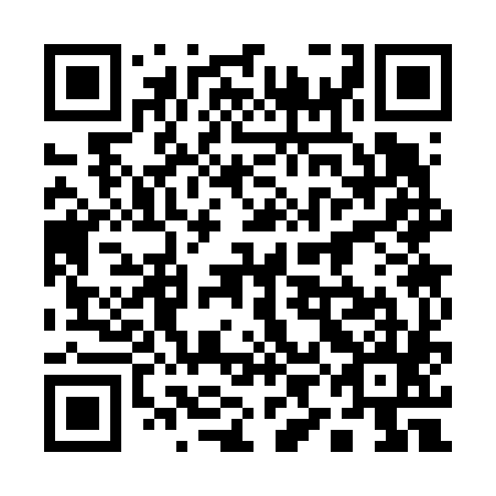 QR code for plate 19C 685