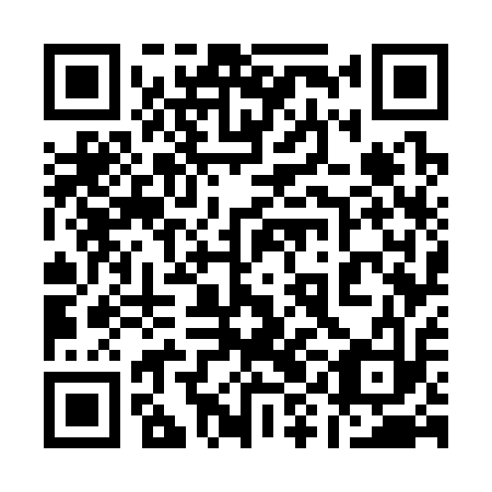 QR code for 19G 313