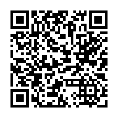 QR code for plate 19N 397