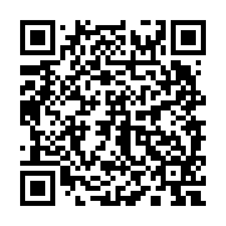 QR code for plate 19N 696