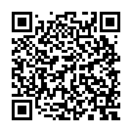 QR code for 19P 384