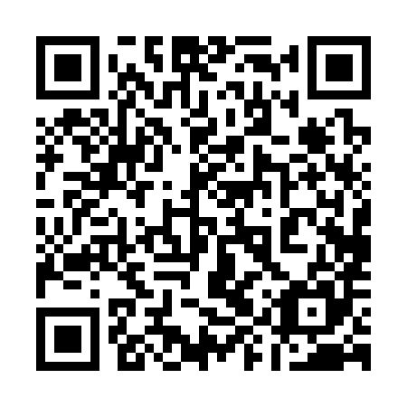 QR code for 19P385
