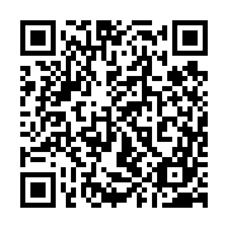 QR code for plate 19Q 667
