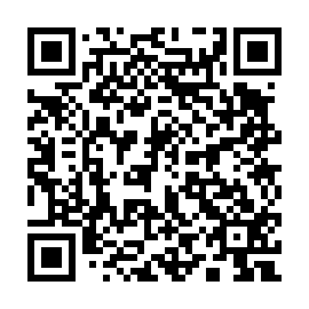 QR code for plate 19S 413