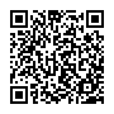 QR code for 19T384