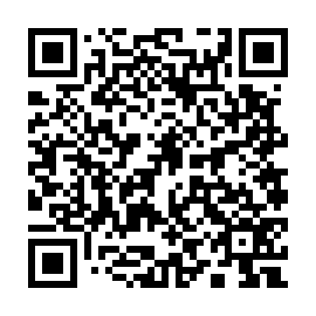 QR code for plate 19V 576