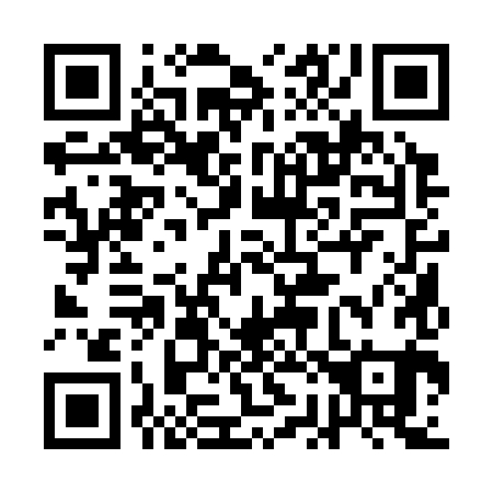 QR code for plate 1B 1381