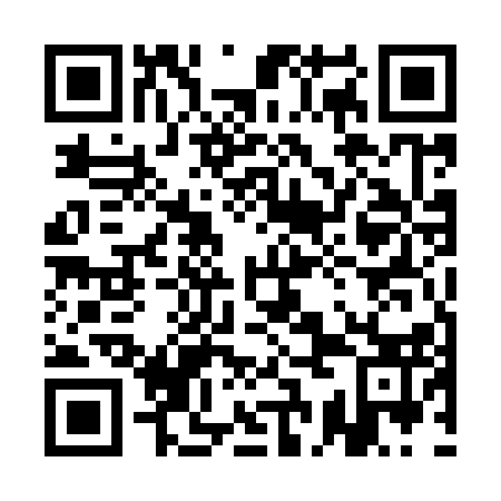 QR code for plate 1CE 913