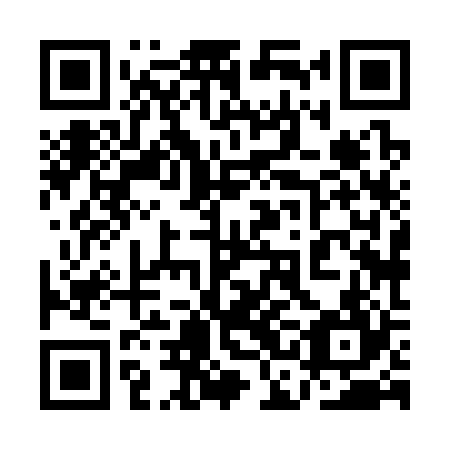 QR code for plate 1CH 324
