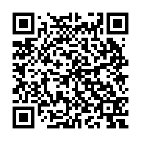QR code for 1D 1233