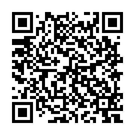 QR code for plate 1D 9193