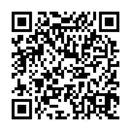 QR code for plate 1DD 300