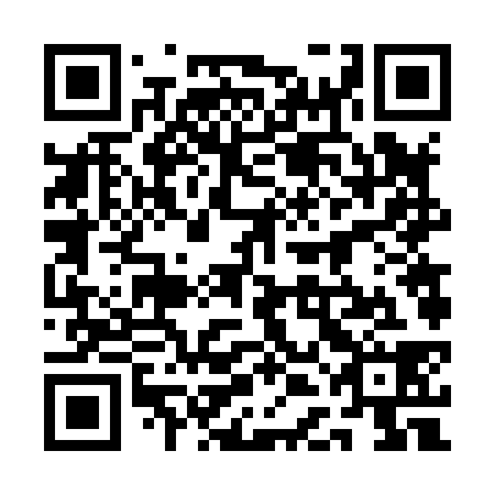 QR code for plate 1DF 838