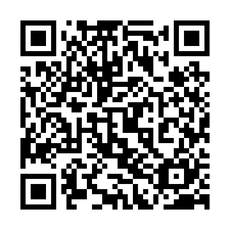 QR code for 1DM 225
