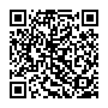 QR code for 1DM 238