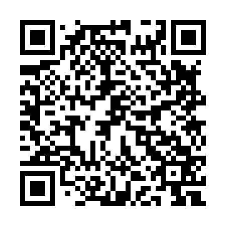 QR code for 1DS 863