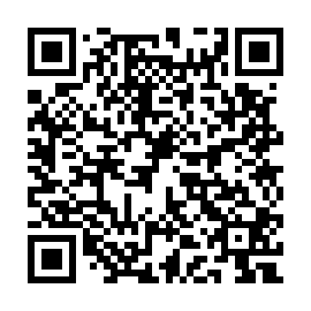QR code for plate 1DS 500