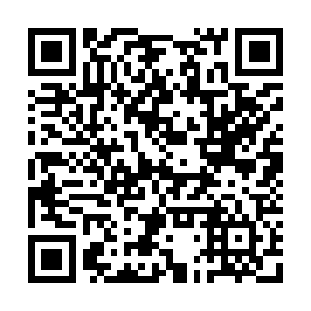 QR code for plate 1DS 924