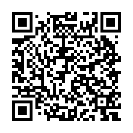 QR code for plate 1DX 250