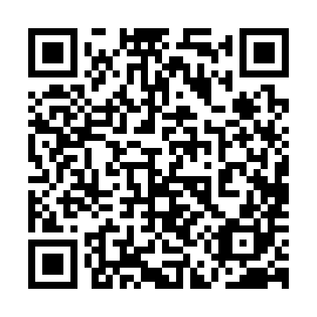 QR code for plate 1E 0380