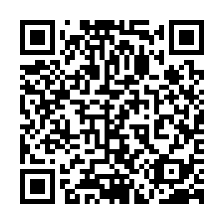QR code for plate 1E 3339