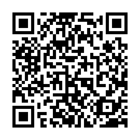 QR code for plate 1E 4338