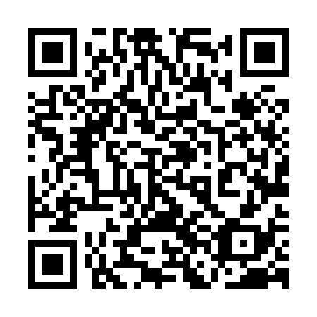 QR code for plate 1FL 838