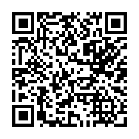 QR code for 1G 2994