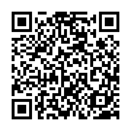 QR code for 1G4161