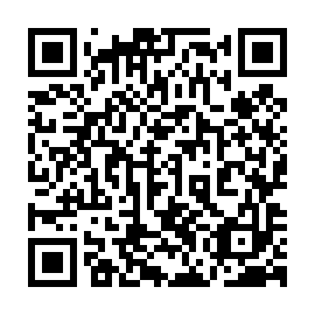 QR code for 1GO 493