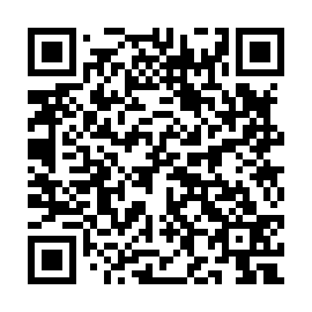 QR code for 1H 3833