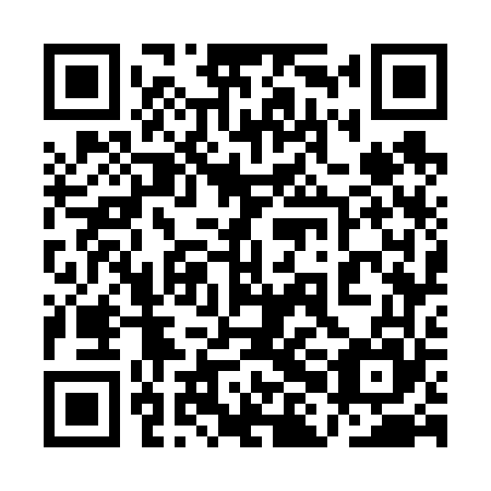 QR code for plate 1HG 665