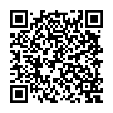 QR code for 1HI 493