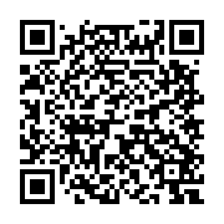 QR code for plate 1HJ 542