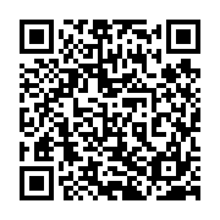 QR code for plate 1HK 637