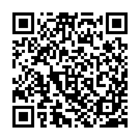QR code for plate 1IA 383