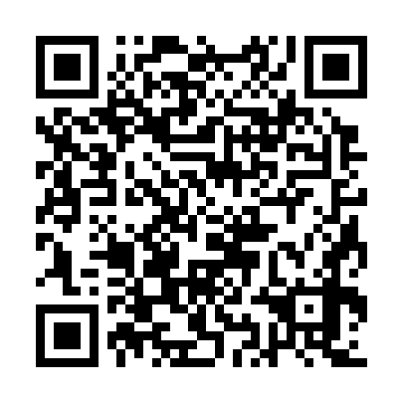 QR code for 1IC378