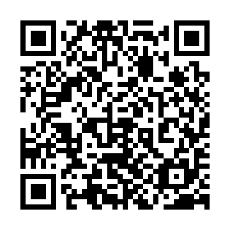 QR code for 1IG395