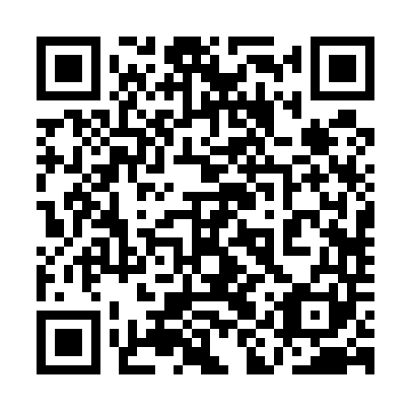 QR code for plate 1IR 541